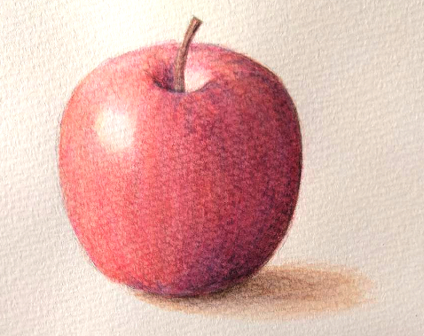 水彩色鉛筆で描いたリンゴ６