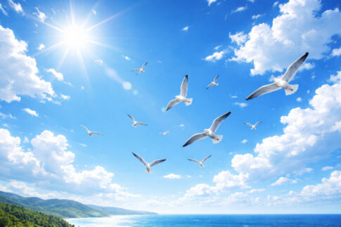 青空を自由に飛ぶ鳥。自分軸で生きることで得られる自由と軽さのイメージ