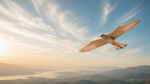空を軽やかに飛ぶ鳥の姿。強さとしなやかさを感じさせるイメージ